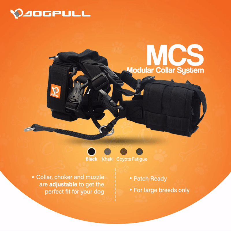 Dogpull MCS Collar (Modular Collar System)