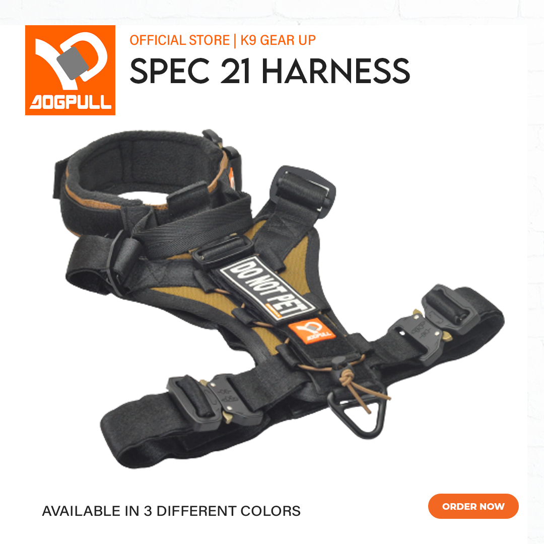 Dogpull Spec 21 Collar and Harness