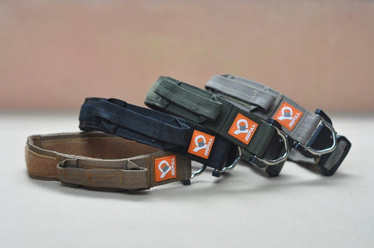 Dogpull M7 Collar