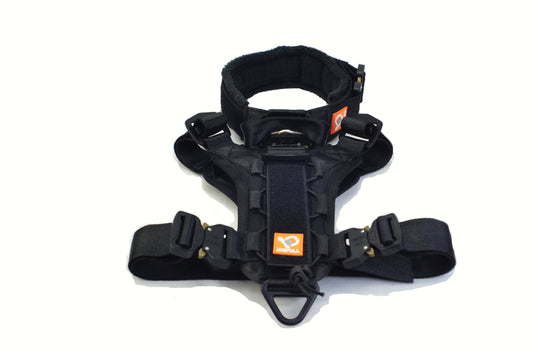 Dogpull Spec 21 Collar and Harness