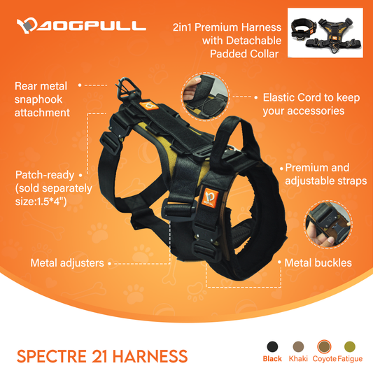 Dogpull Spec 21 Collar and Harness